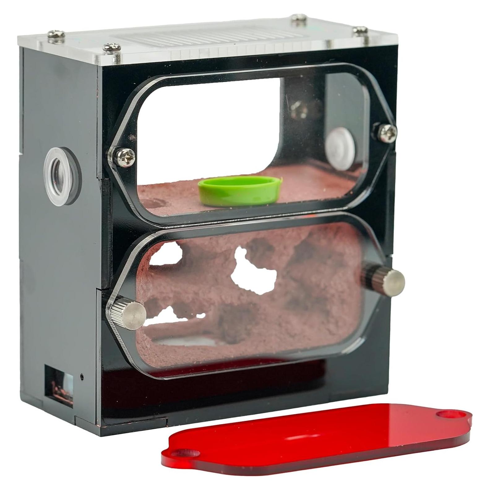 Granja de Hormigas Rimsunta Nido 9.5x10.5 cm Juguete Educativo