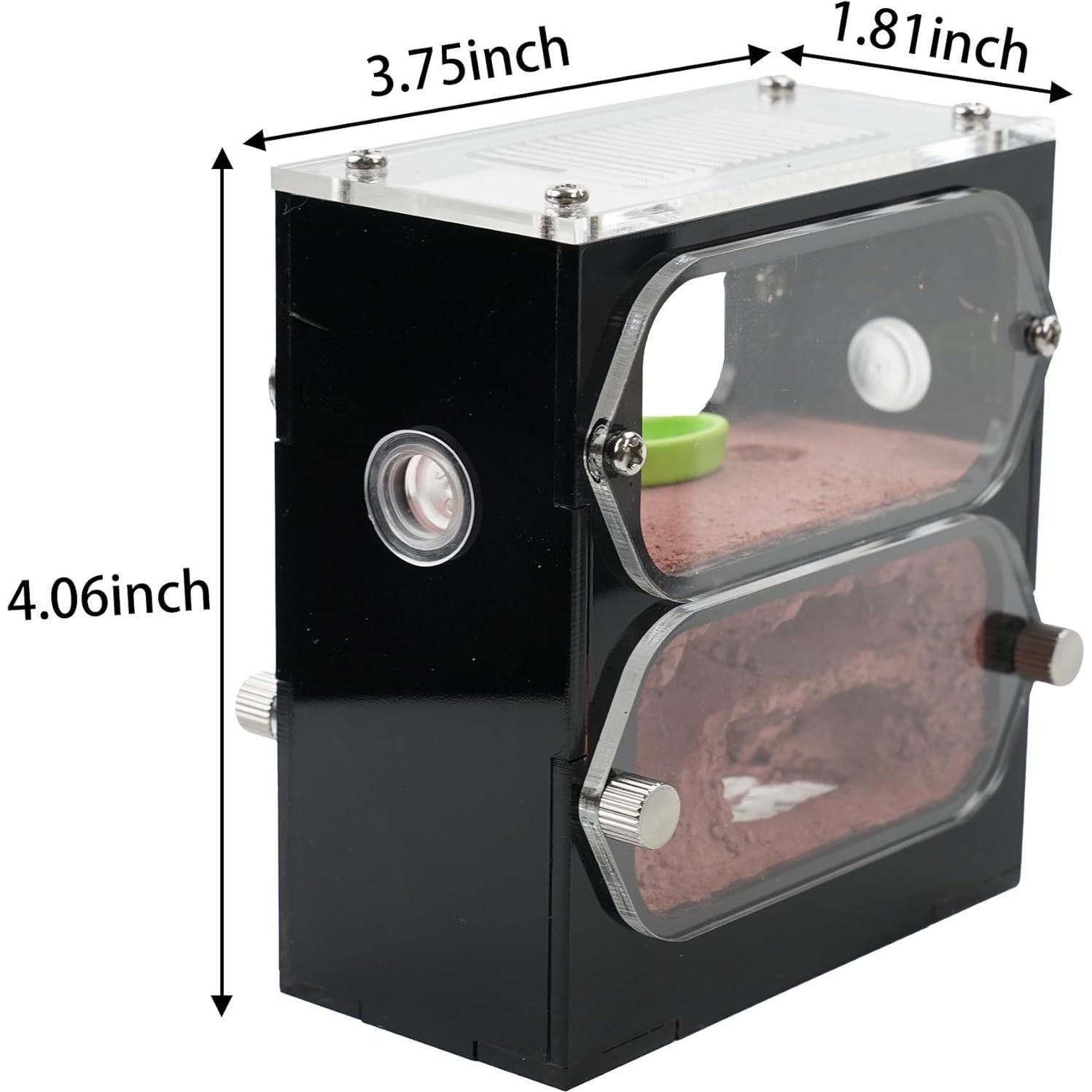 Granja de Hormigas Rimsunta Nido 9.5x10.5 cm Juguete Educativo