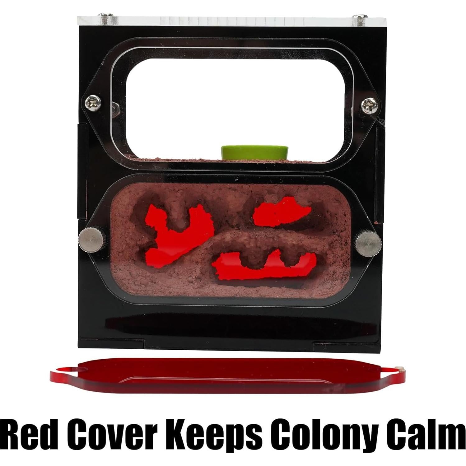 Granja de Hormigas Rimsunta Nido 9.5x10.5 cm Juguete Educativo