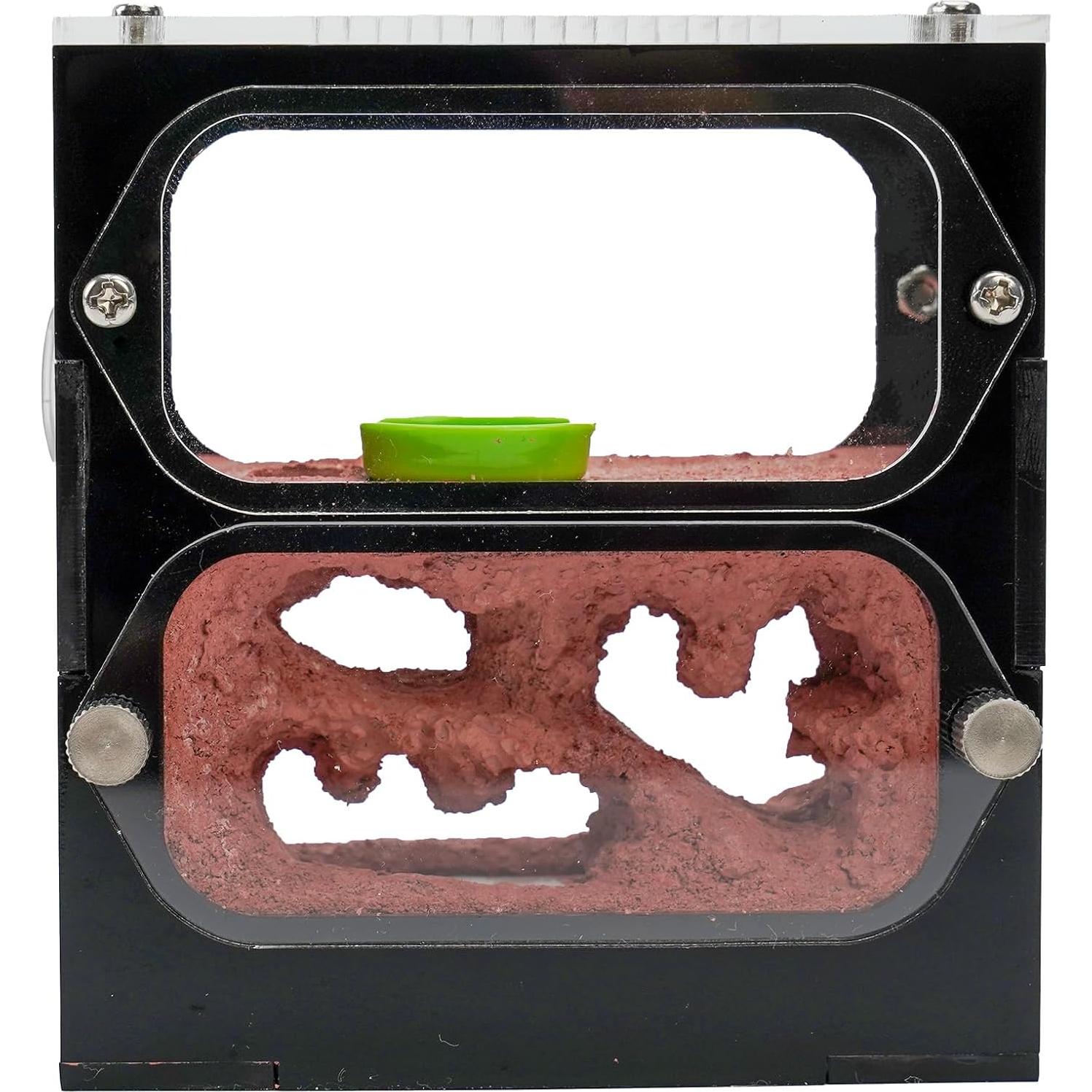 Granja de Hormigas Rimsunta Nido 9.5x10.5 cm Juguete Educativo