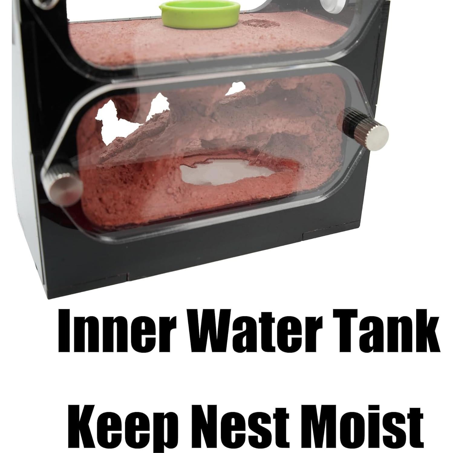 Granja de Hormigas Rimsunta Nido 9.5x10.5 cm Juguete Educativo