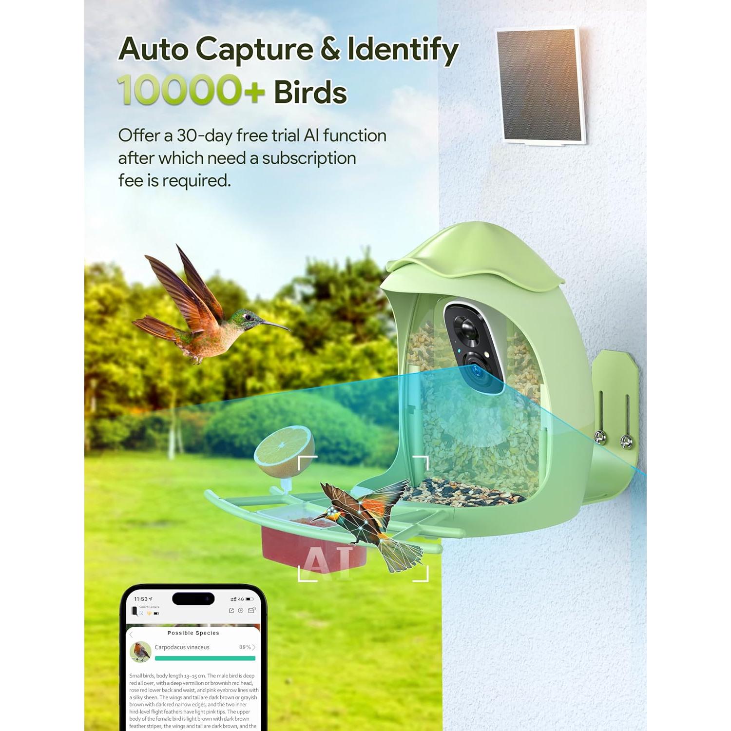 Comedero Inteligente Osoeri para Aves con Cámara AI 2K HD