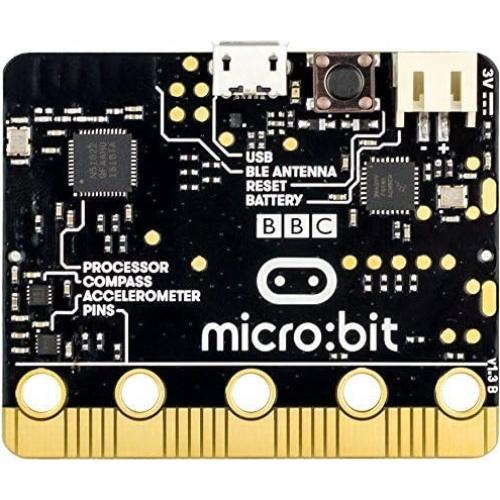 Micro:bit BBC2546862 Go - Computadora de bolsillo educativa