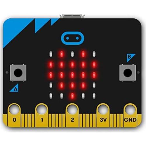Micro:bit BBC2546862 Go - Computadora de bolsillo educativa