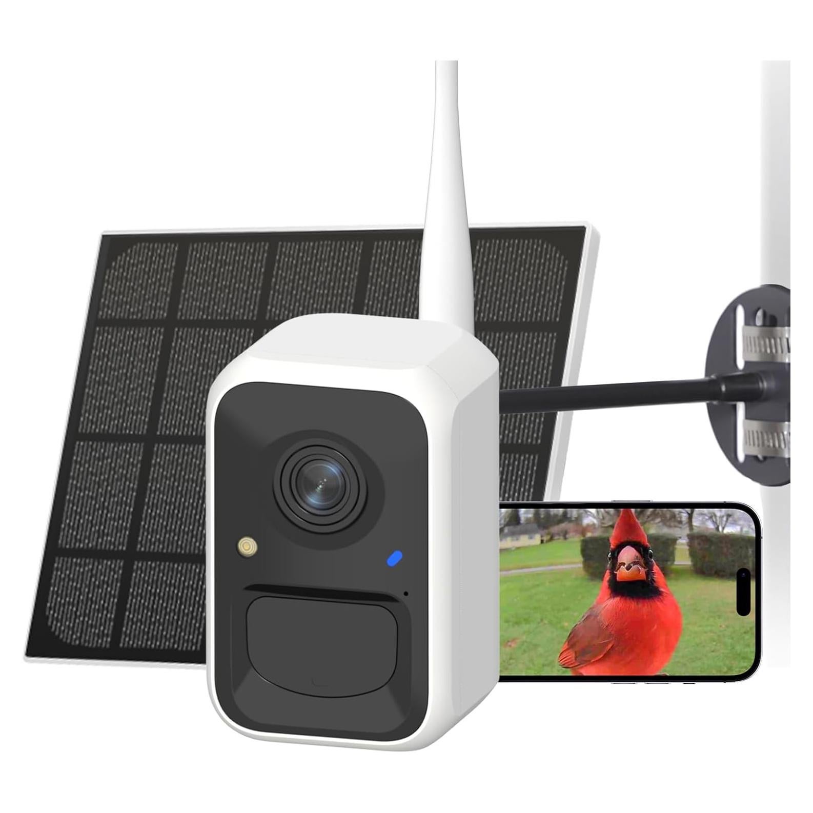 Cámara de Alimentador de Aves Inteligente NETVUE Birdfy Solar 2K