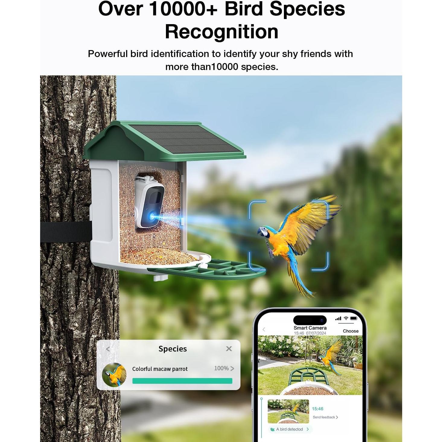 Comedero para Aves HARYMOR Q8 con Cámara 2K y Solar