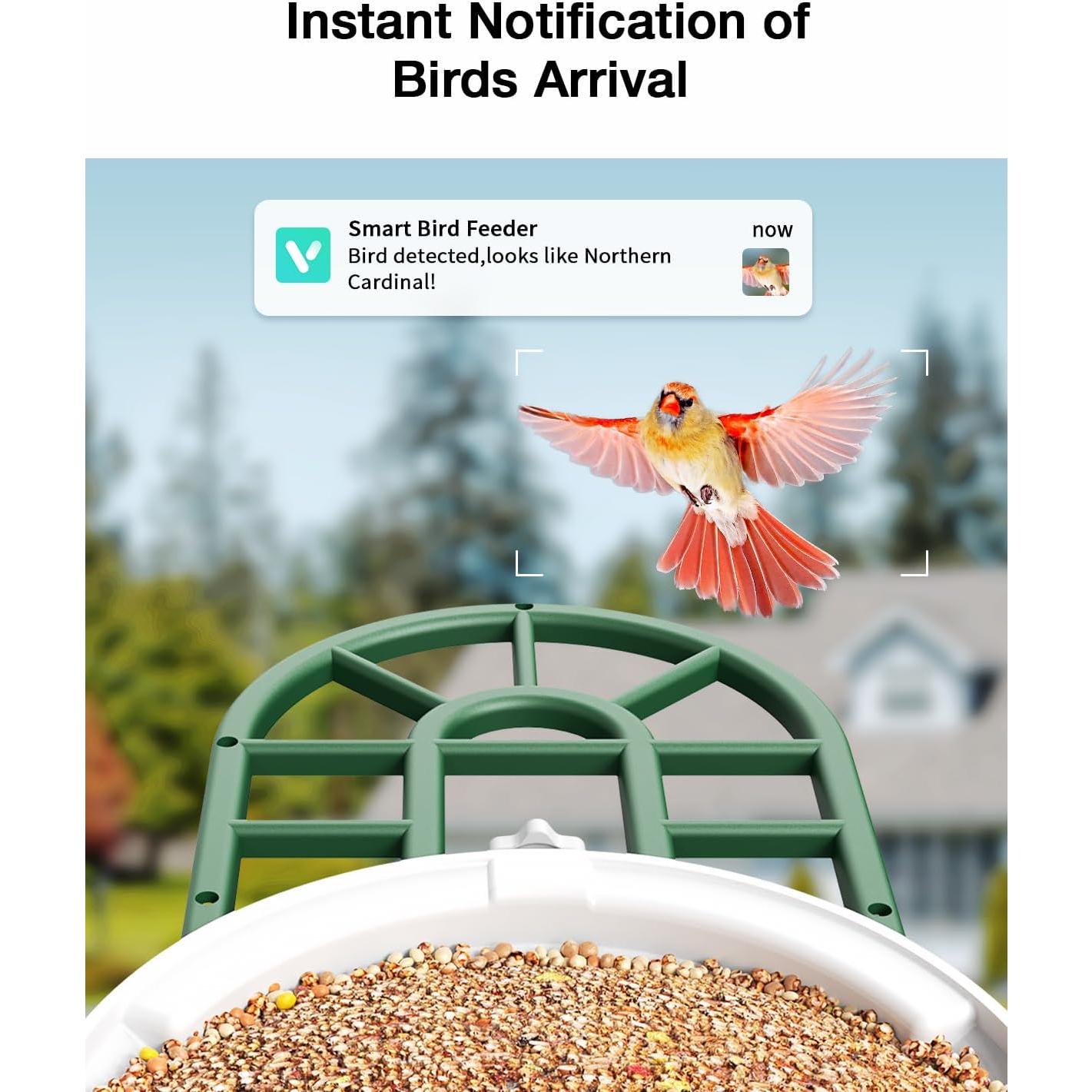 Comedero para Aves HARYMOR Q8 con Cámara 2K y Solar