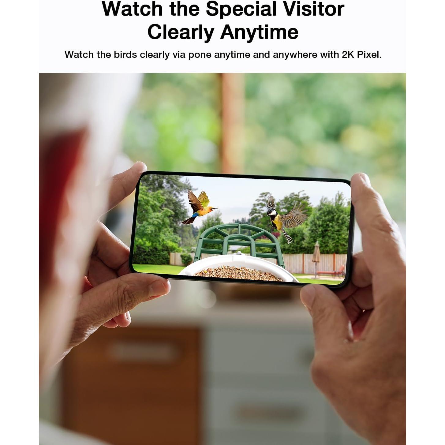 Comedero para Aves HARYMOR Q8 con Cámara 2K y Solar