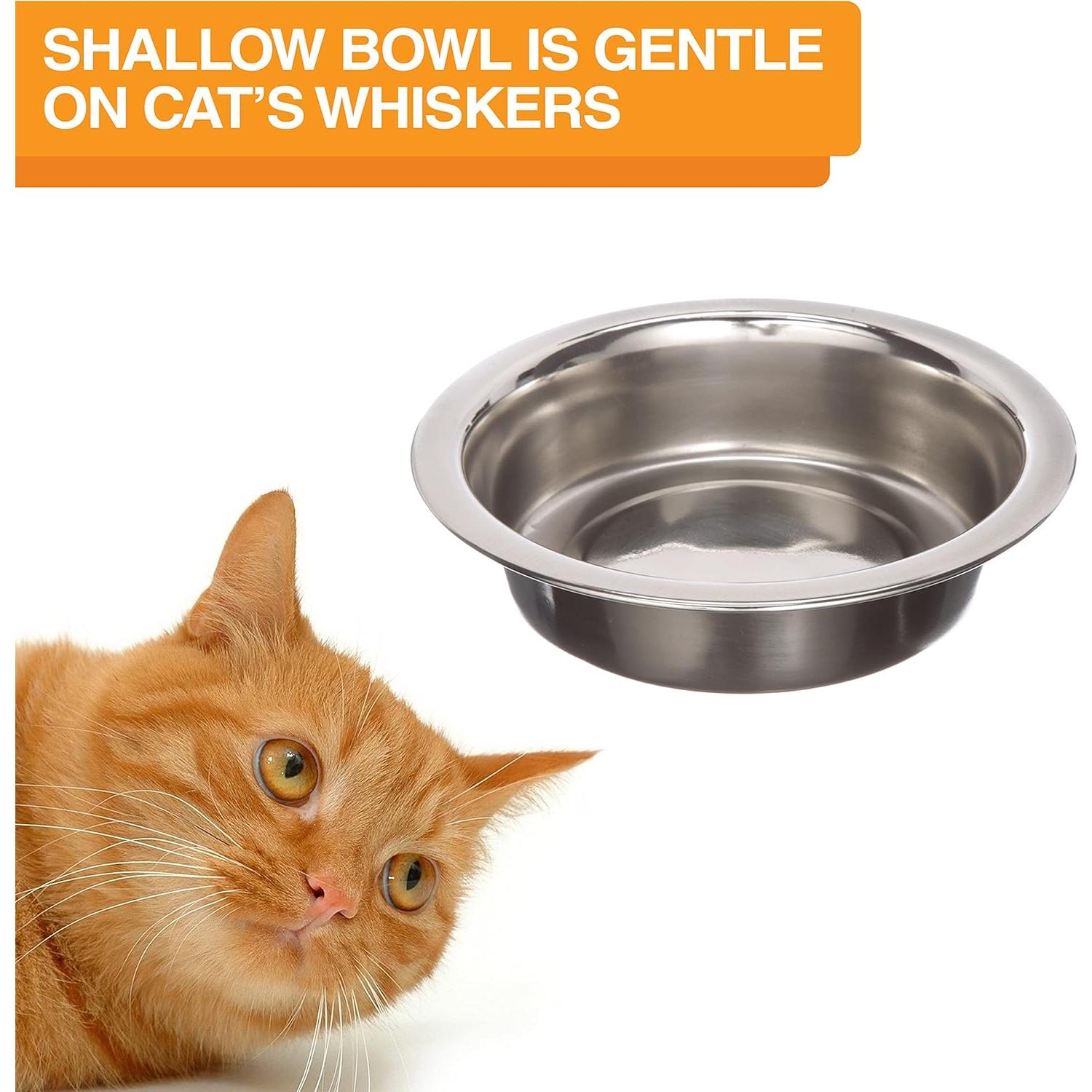 Neater Feeder Express Alimentador Elevado para Gatos Gris