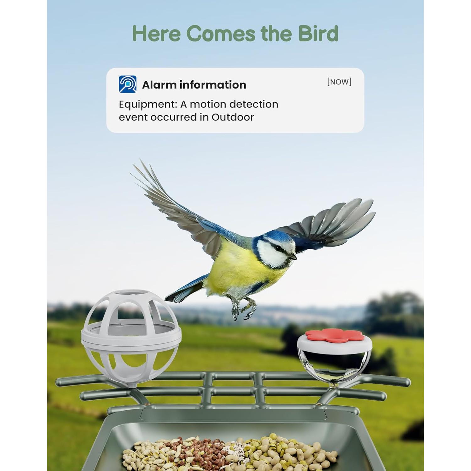 Comedero Inteligente para Aves PEEIPM con Cámara Solar 2K