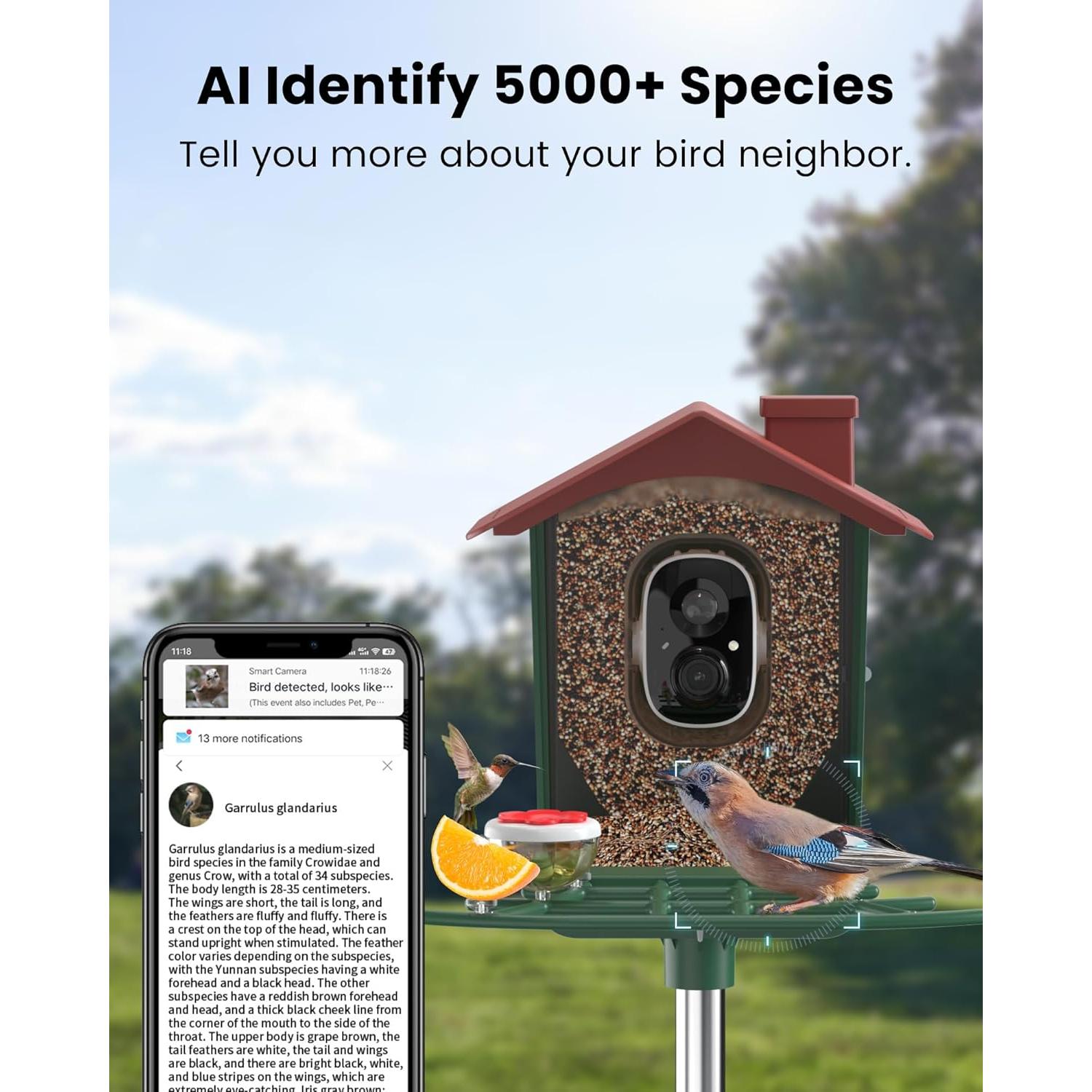 Comedero Inteligente para Aves PEEIPM con Cámara Solar 2K