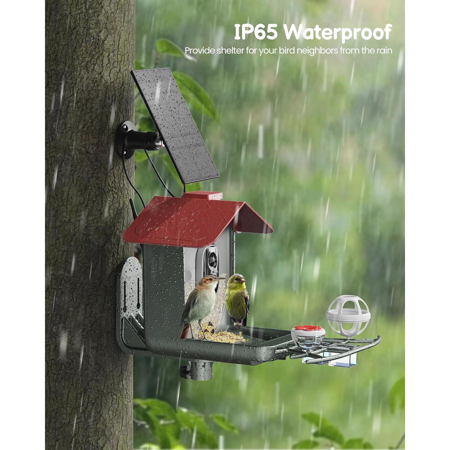 Comedero Inteligente para Aves PEEIPM con Cámara Solar 2K