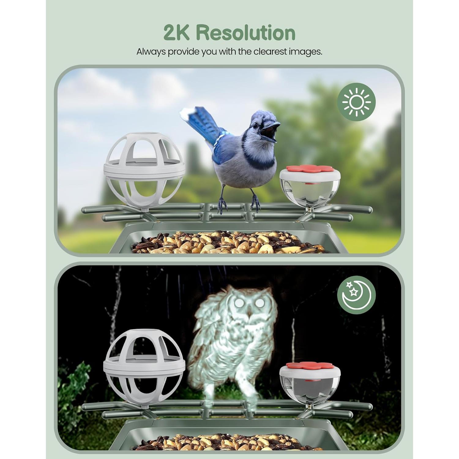 Comedero Inteligente para Aves PEEIPM con Cámara Solar 2K