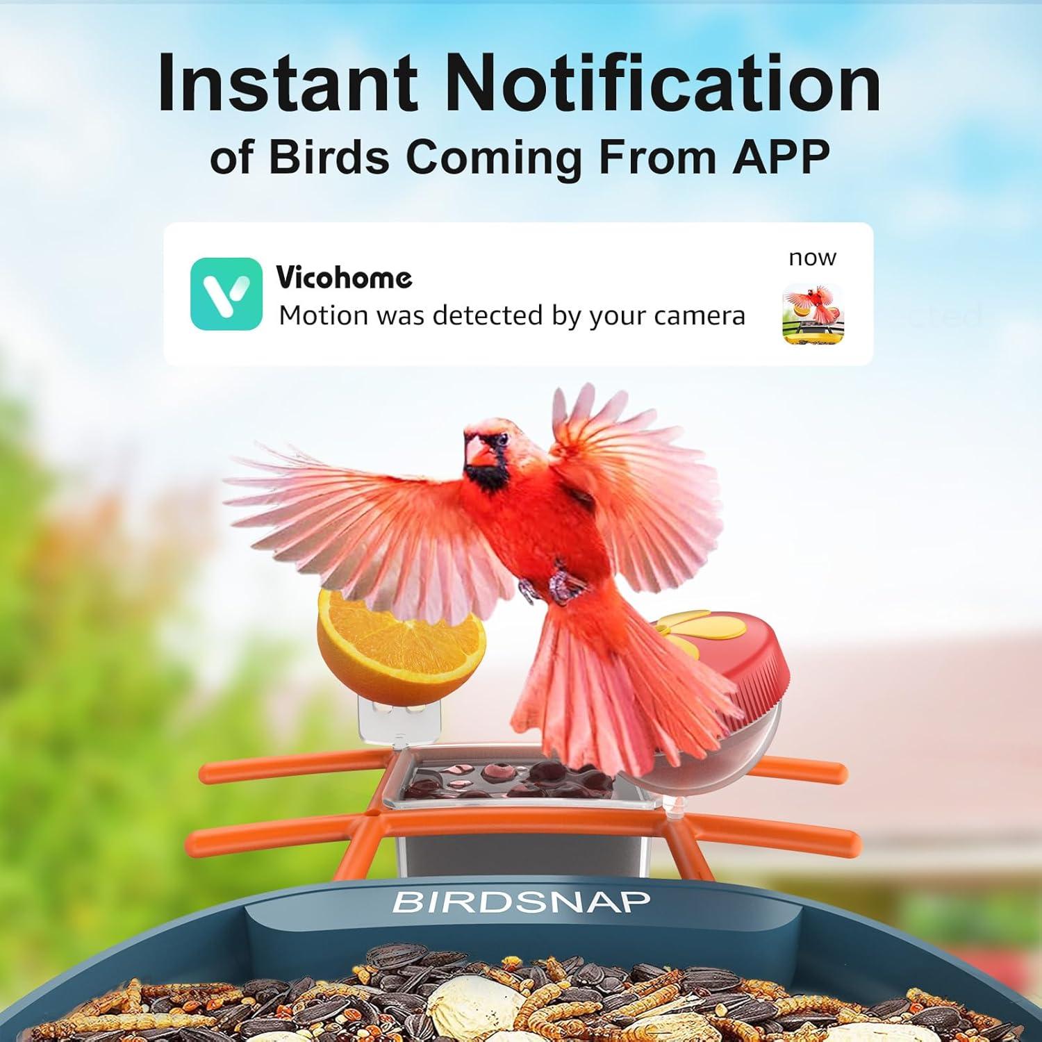 Comedero Inteligente para Aves birdsnap PAV HD 2K Solar