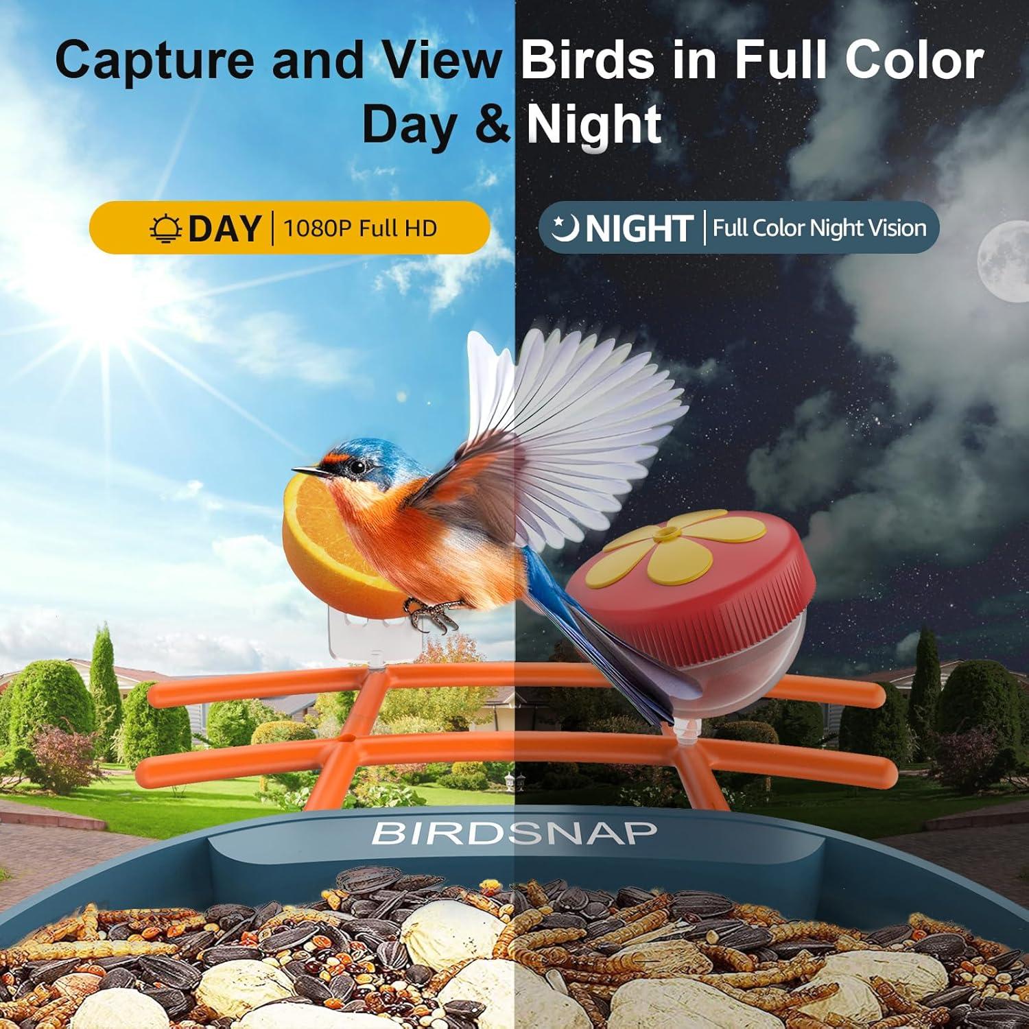 Comedero Inteligente para Aves birdsnap PAV HD 2K Solar