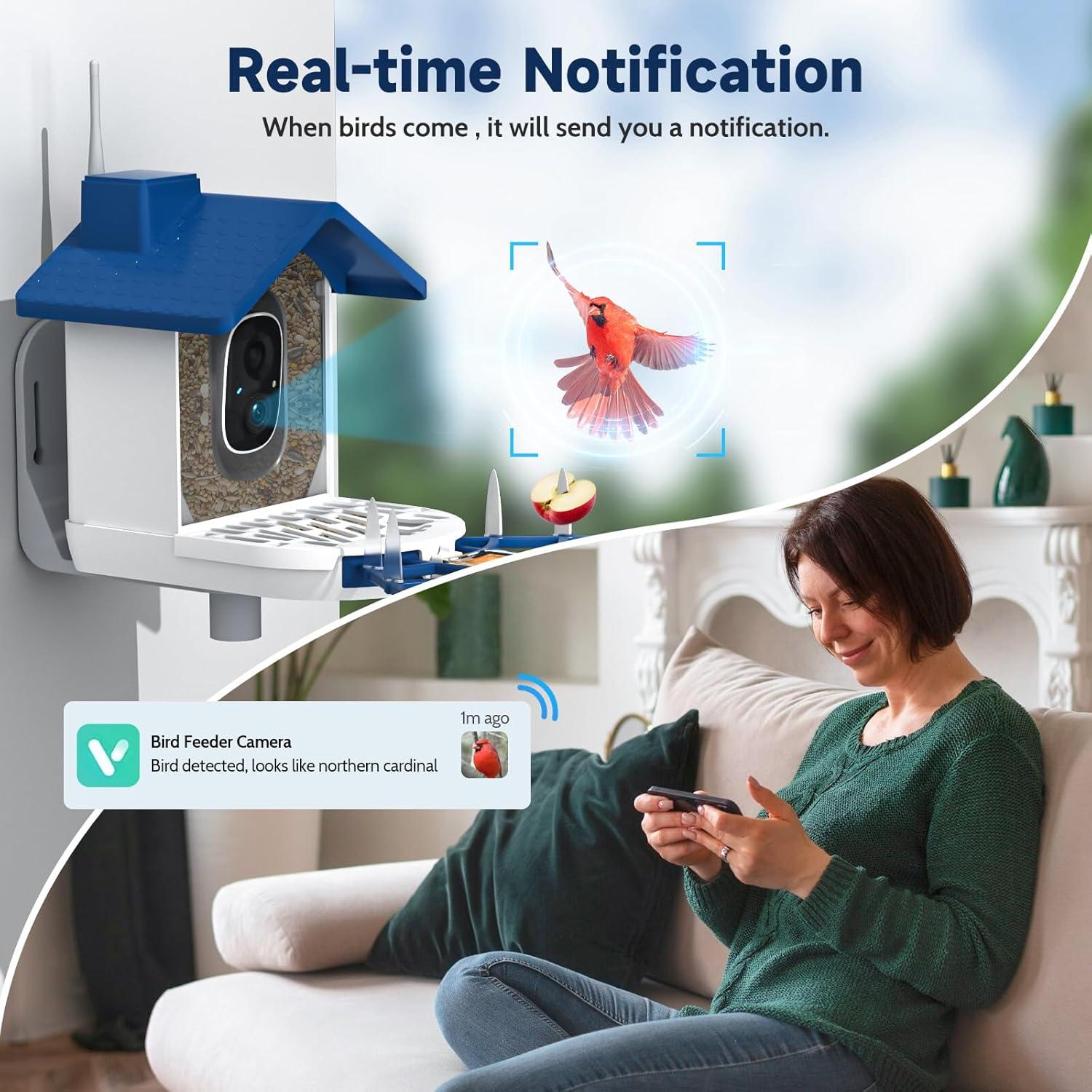 Comedero para Aves BYRANKE con Cámara 2K y Panel Solar