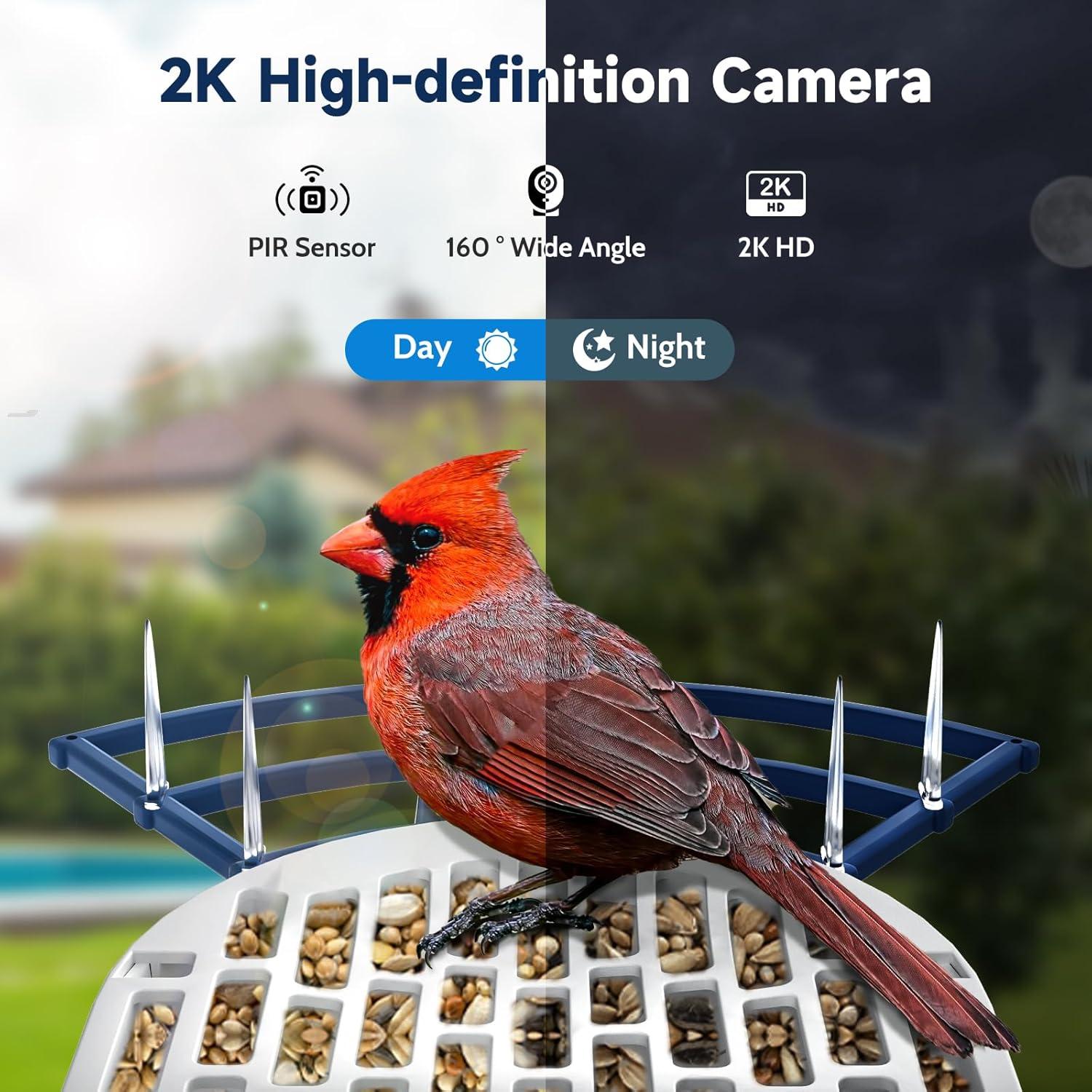 Comedero para Aves BYRANKE con Cámara 2K y Panel Solar