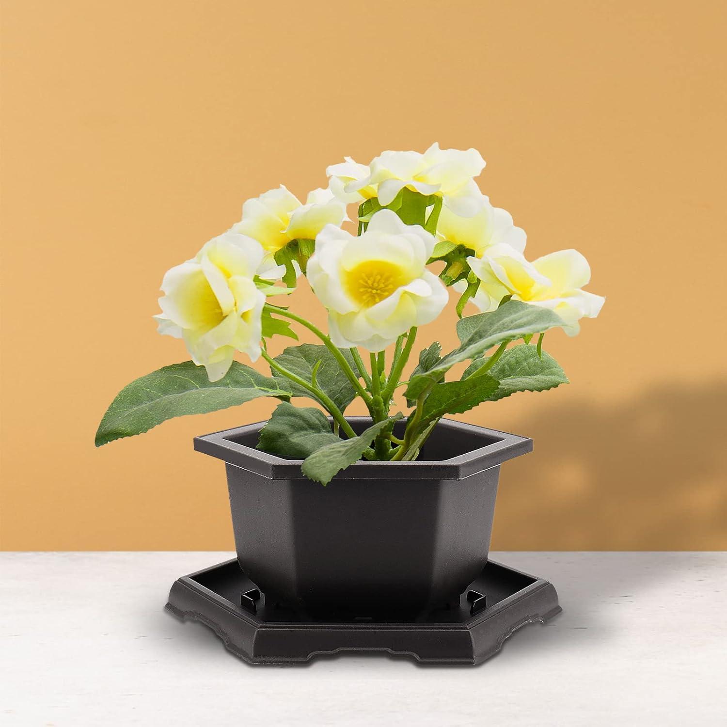 Paquete de 5 macetas de bonsái HEIHAK con bandejas 18,8 cm