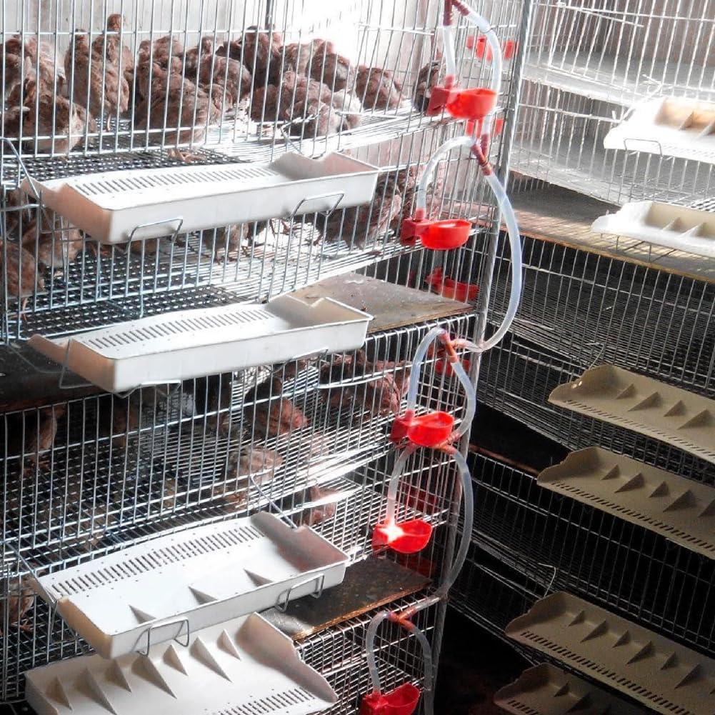 12 Tazas Bebederos Automáticos para Aves MODUODUO Rojo