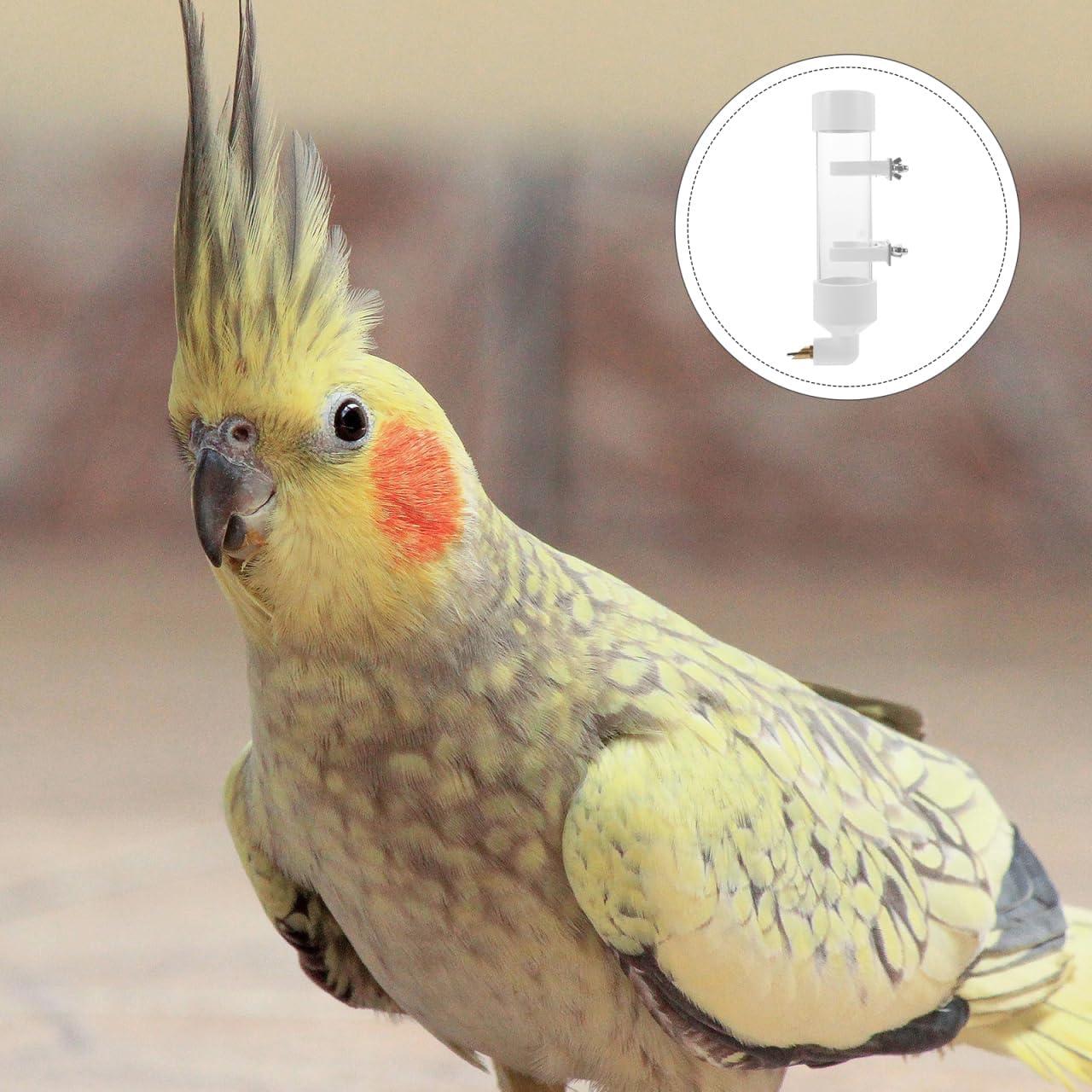 Dispensador de Agua Automático Balacoo 28x7 cm para Aves