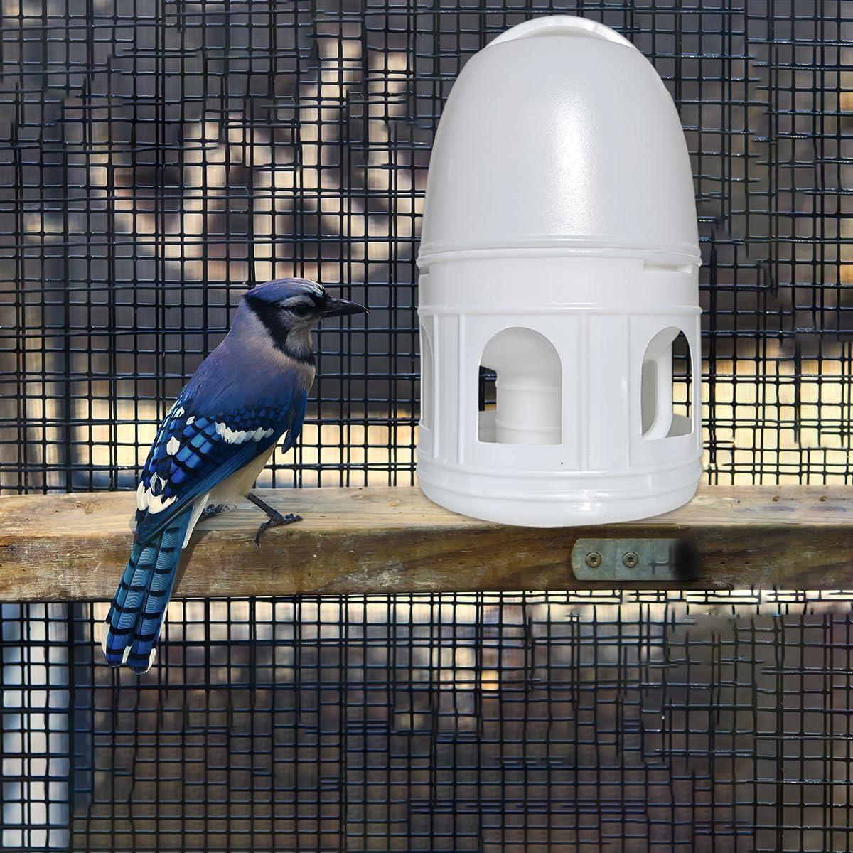 Dispensador de Agua para Aves Panchitalk 5L Ecológico