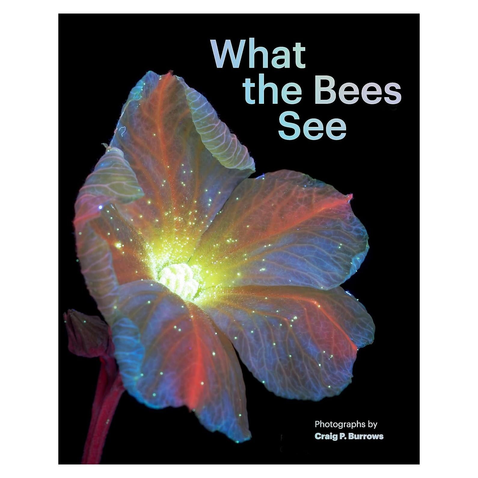 What the Bees See: A Honeybee's Eye View of the World