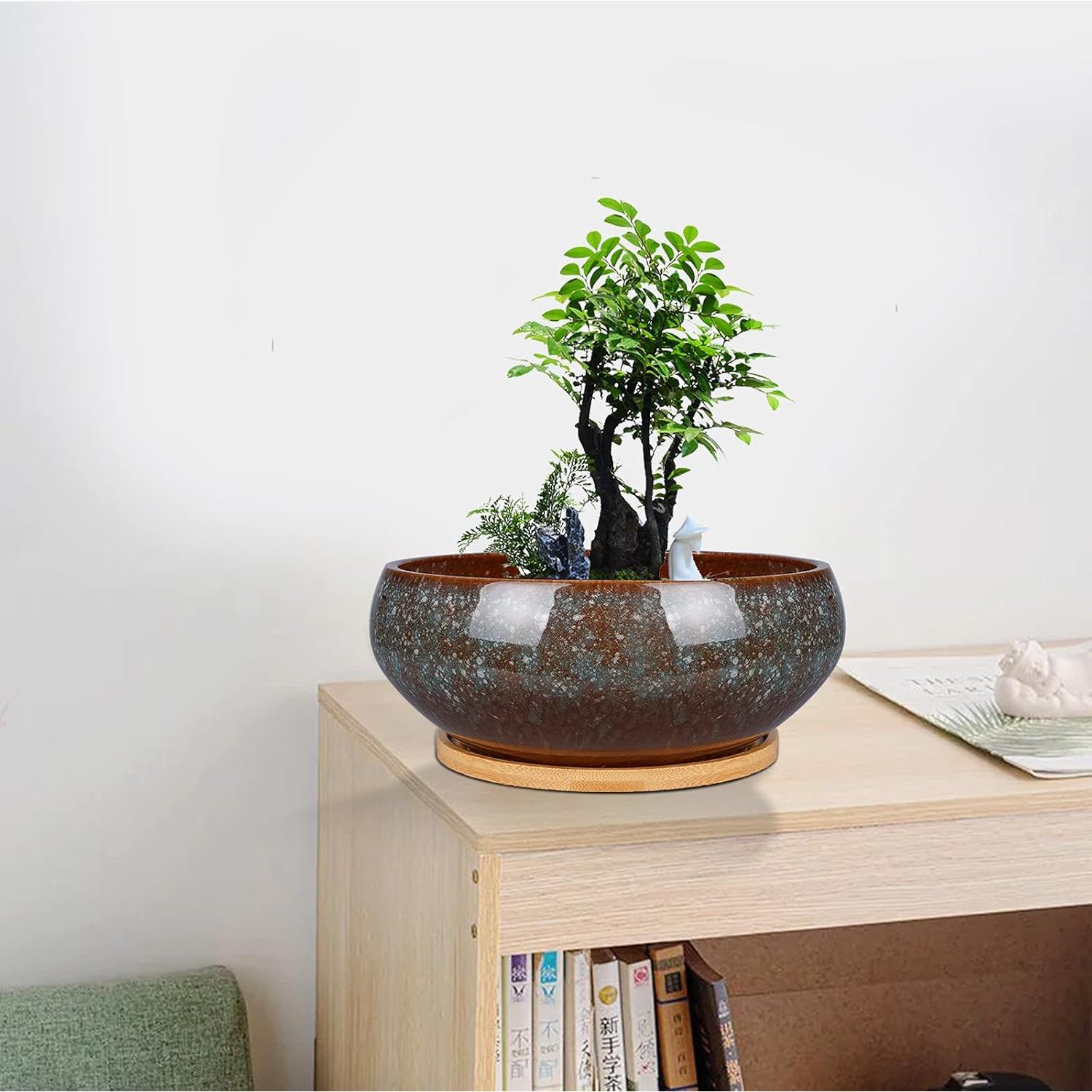 Maceta de Bonsai Cerámica EPFamily 20 cm con Plato de Bambú