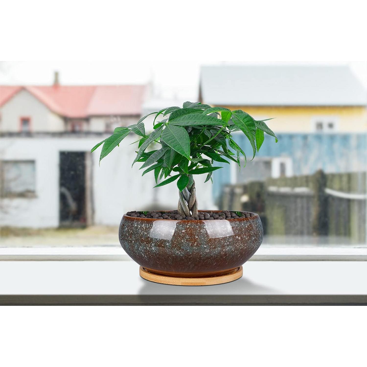 Maceta de Bonsai Cerámica EPFamily 20 cm con Plato de Bambú