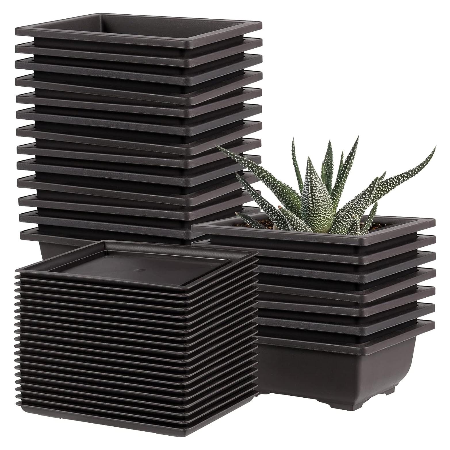 20 Macetas de Plástico para Bonsai 16.5x11.9cm con Bandejas