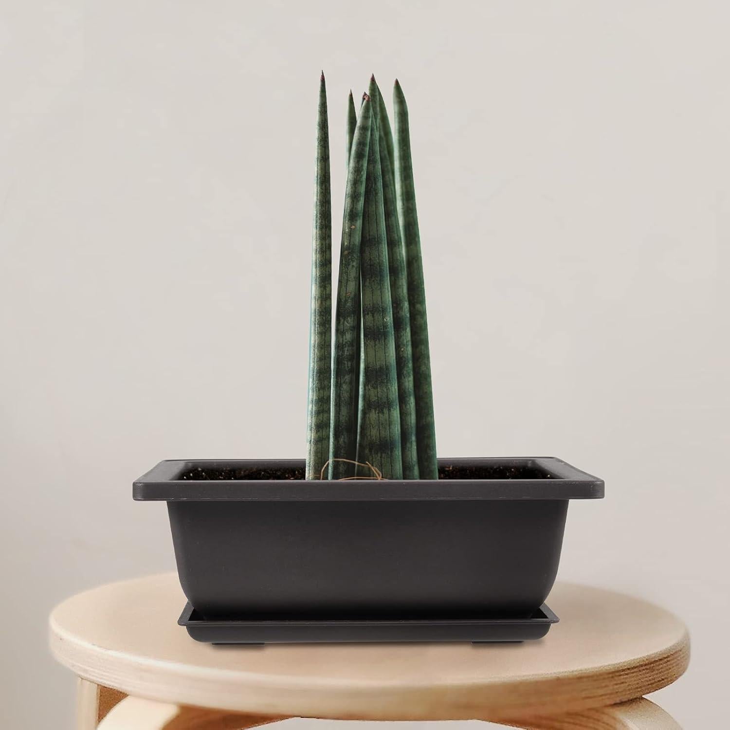 20 Macetas de Plástico para Bonsai 16.5x11.9cm con Bandejas