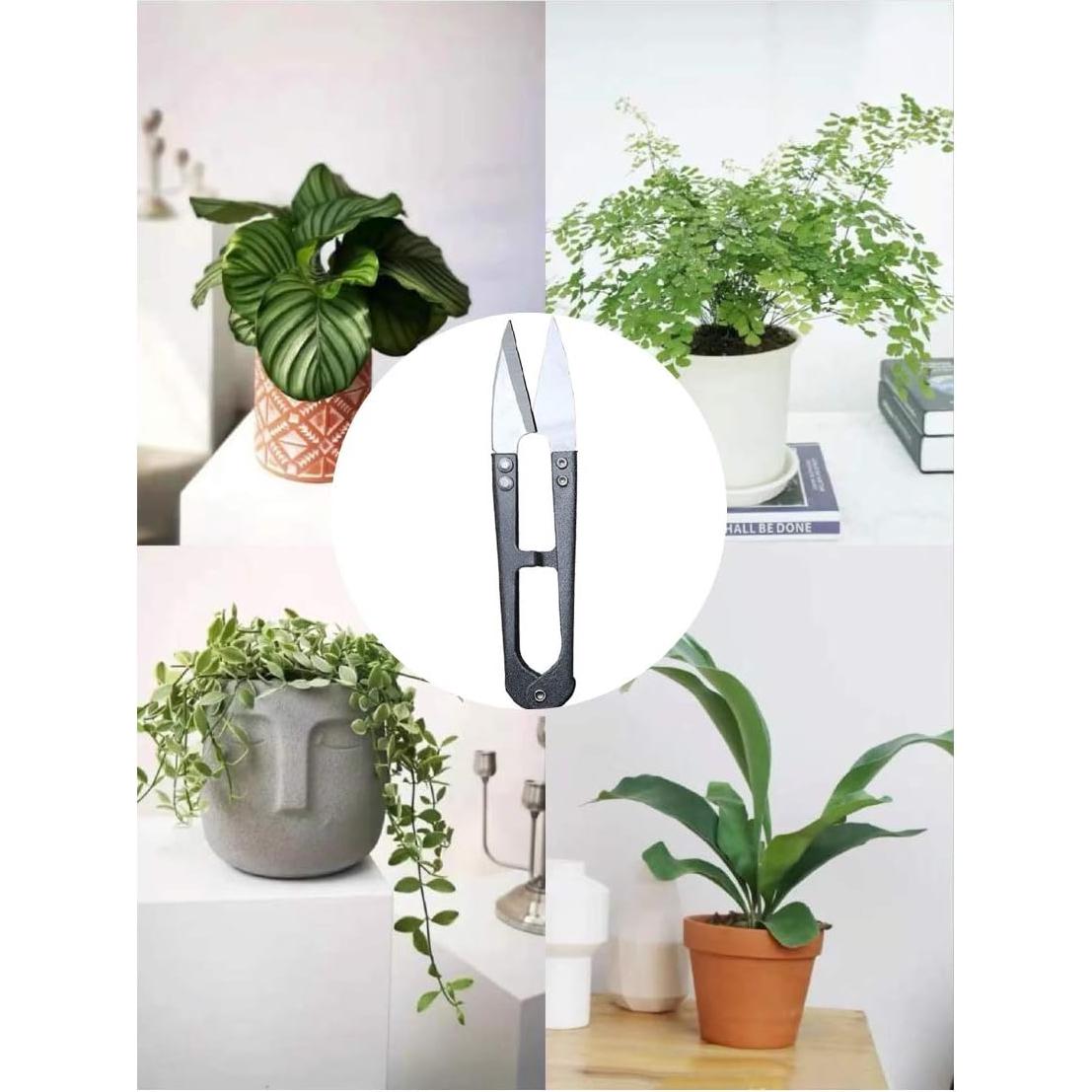 Paquete de 3 tijeras de poda MUUZLL 10,41 cm acero inoxidable