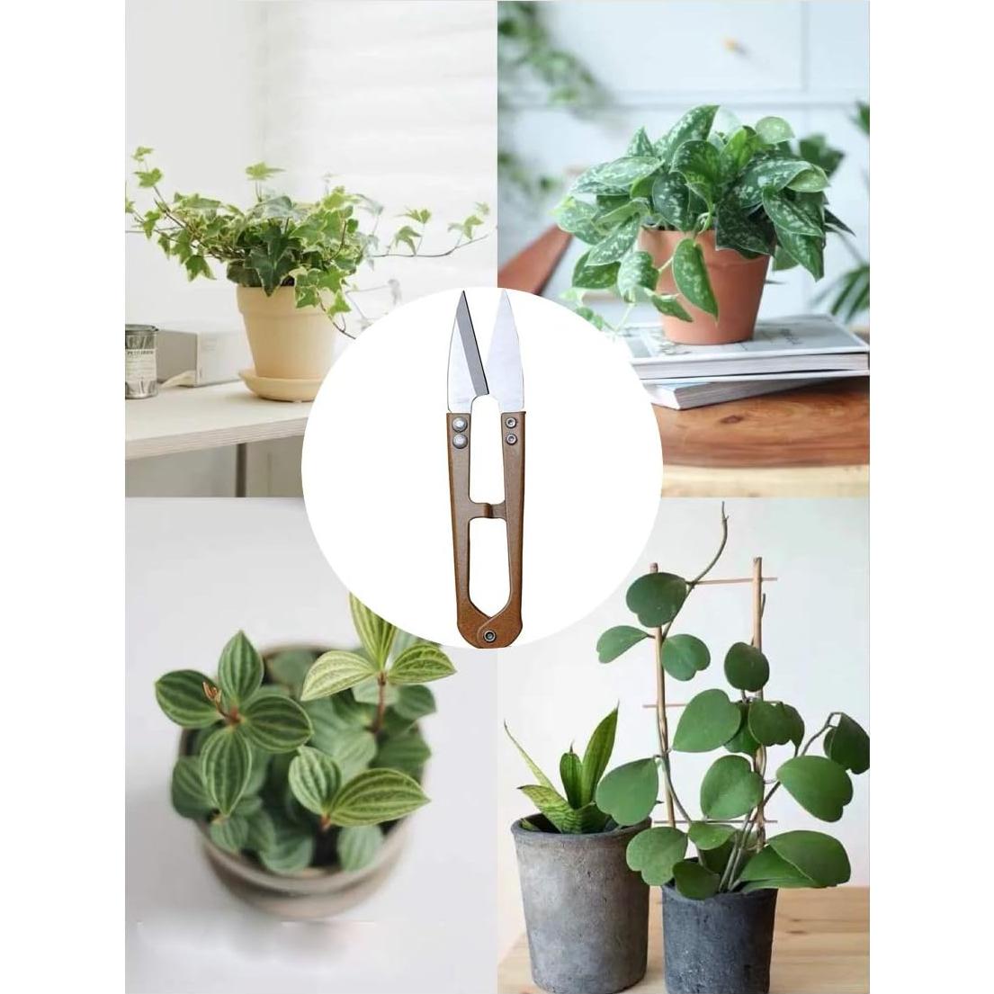 Paquete de 3 tijeras de poda MUUZLL 10,41 cm acero inoxidable