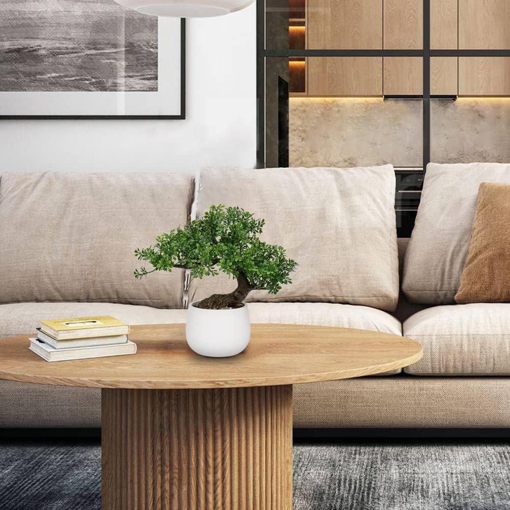 Bonsai Falso DILATATA Junípero 25,4 cm con Maceta Blanca