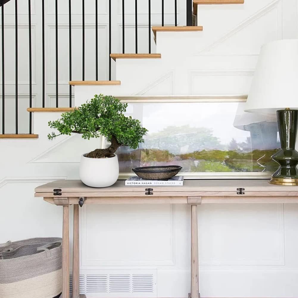 Bonsai Falso DILATATA Junípero 25,4 cm con Maceta Blanca