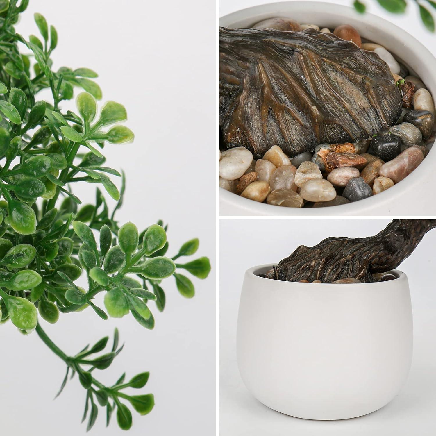 Bonsai Falso DILATATA Junípero 25,4 cm con Maceta Blanca