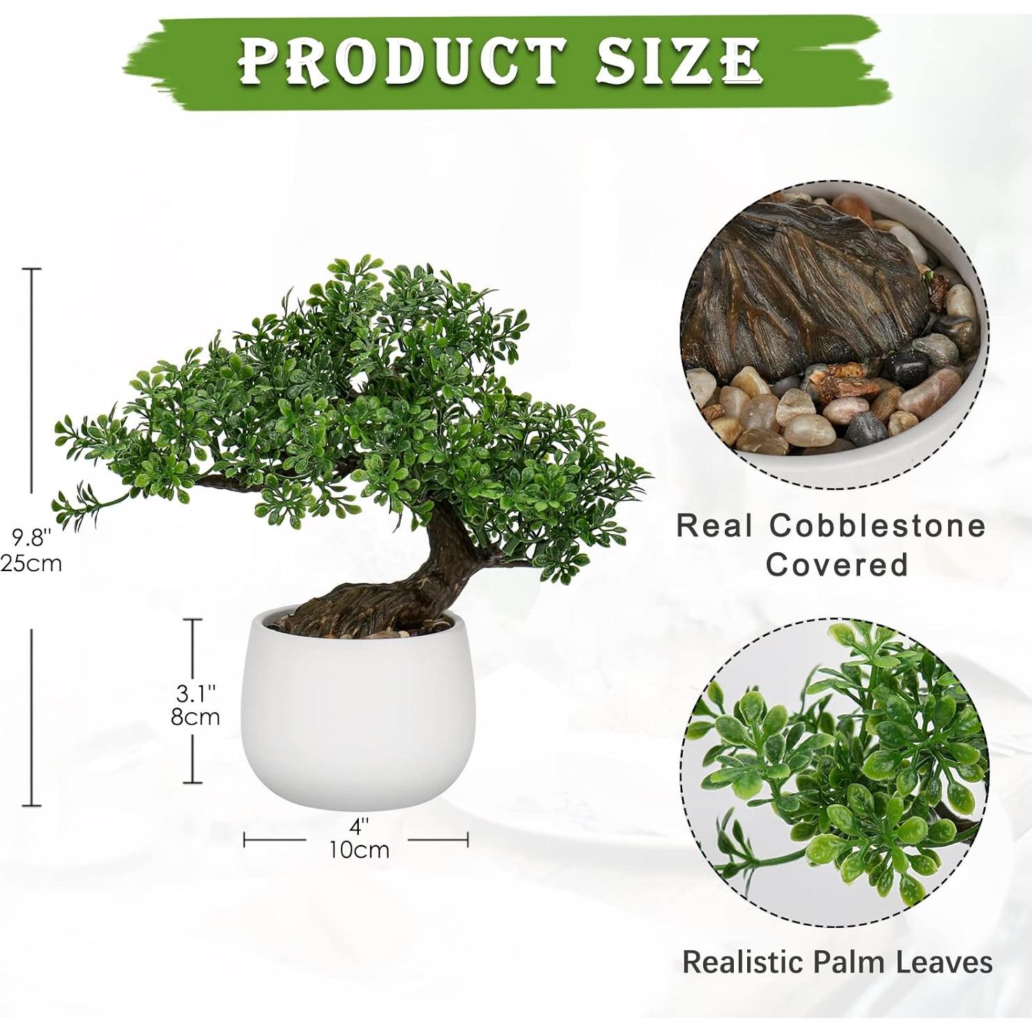 Bonsai Falso DILATATA Junípero 25,4 cm con Maceta Blanca