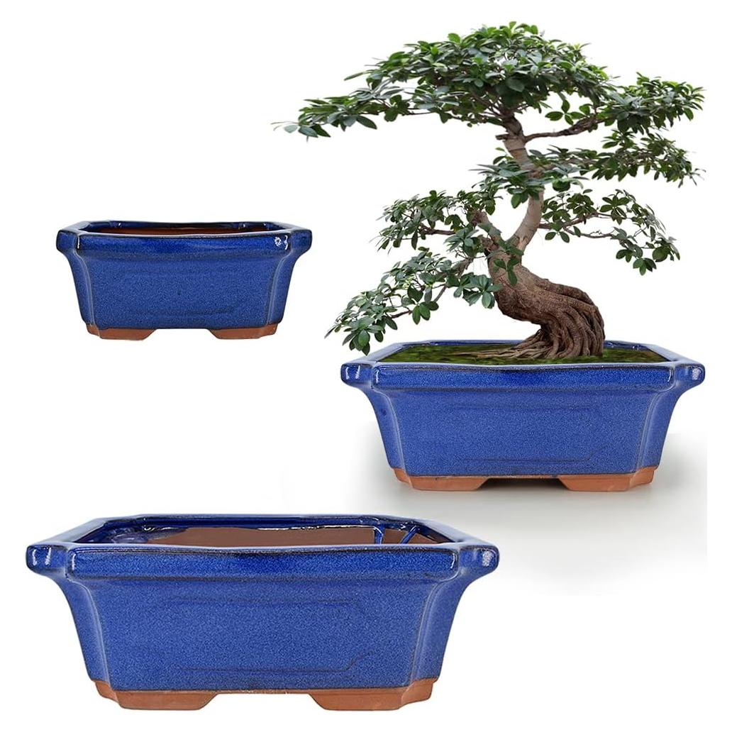 Macetas Rectangulares MUZHI Cerámica Azul 3 Piezas 15-23 cm