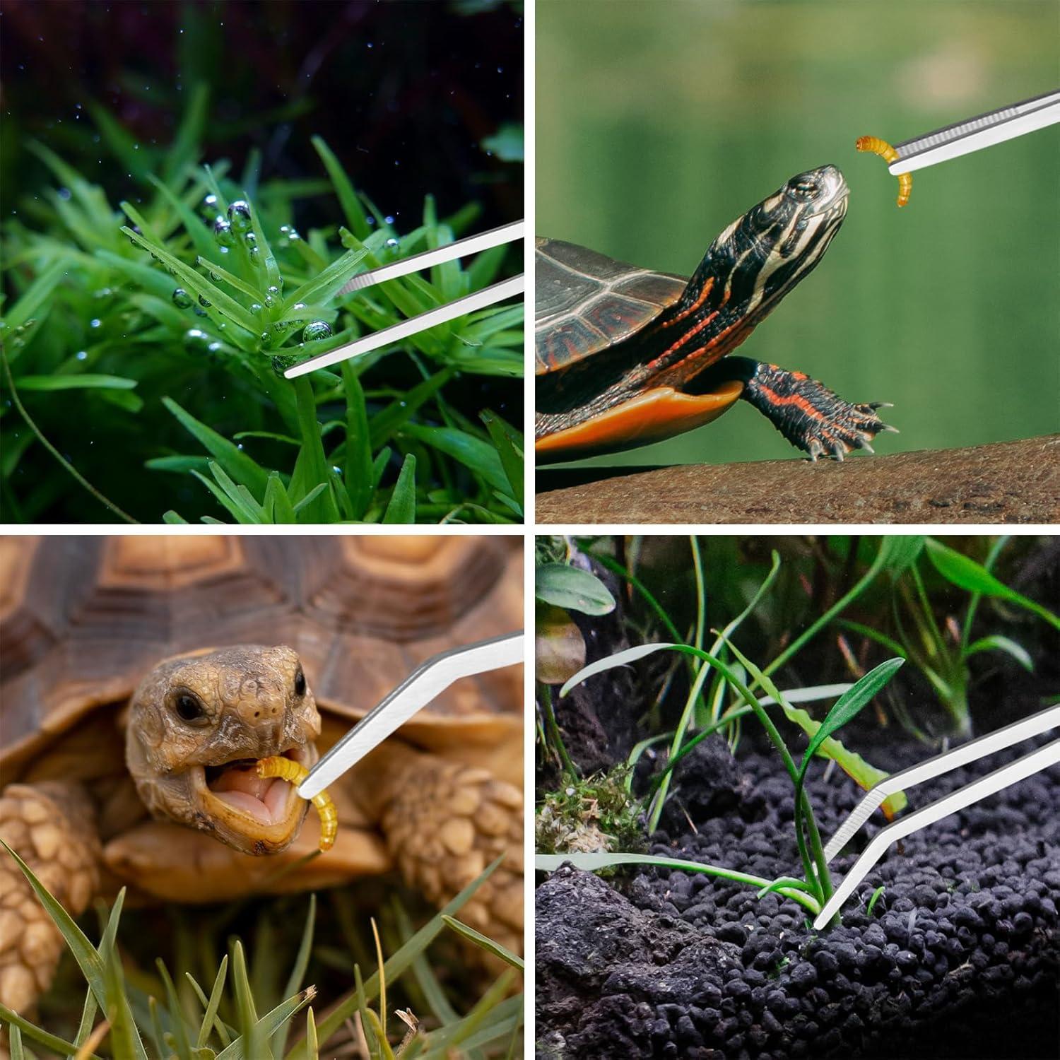 Kit de Herramientas de Acuario Ohtomber 4PCS Acuascaping