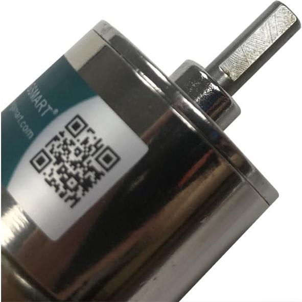 Motor de Engranaje Bringsmart JGB37-520 12V 100RPM Soporte