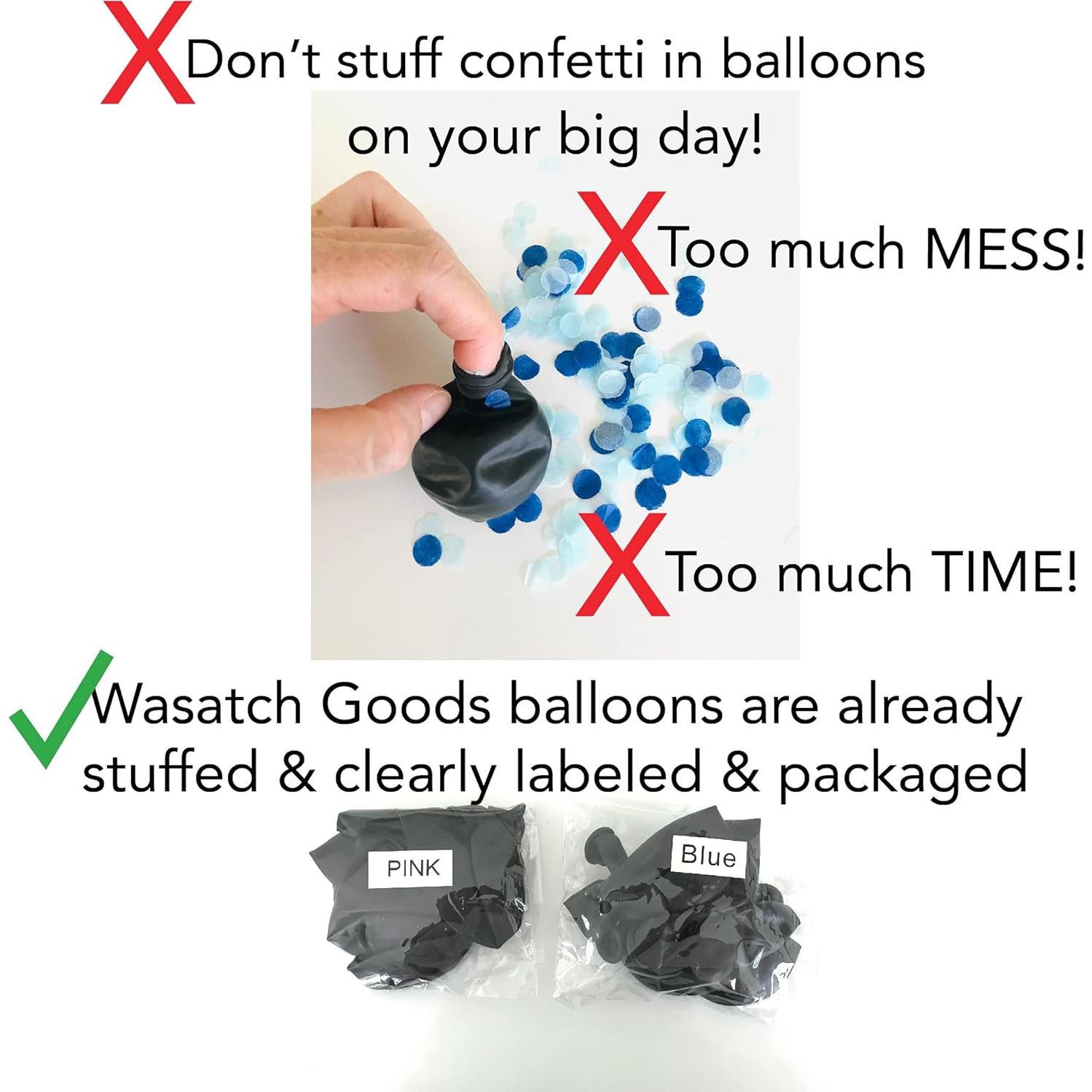 Juego de Revelación de Género Rool con Dardos y Globos