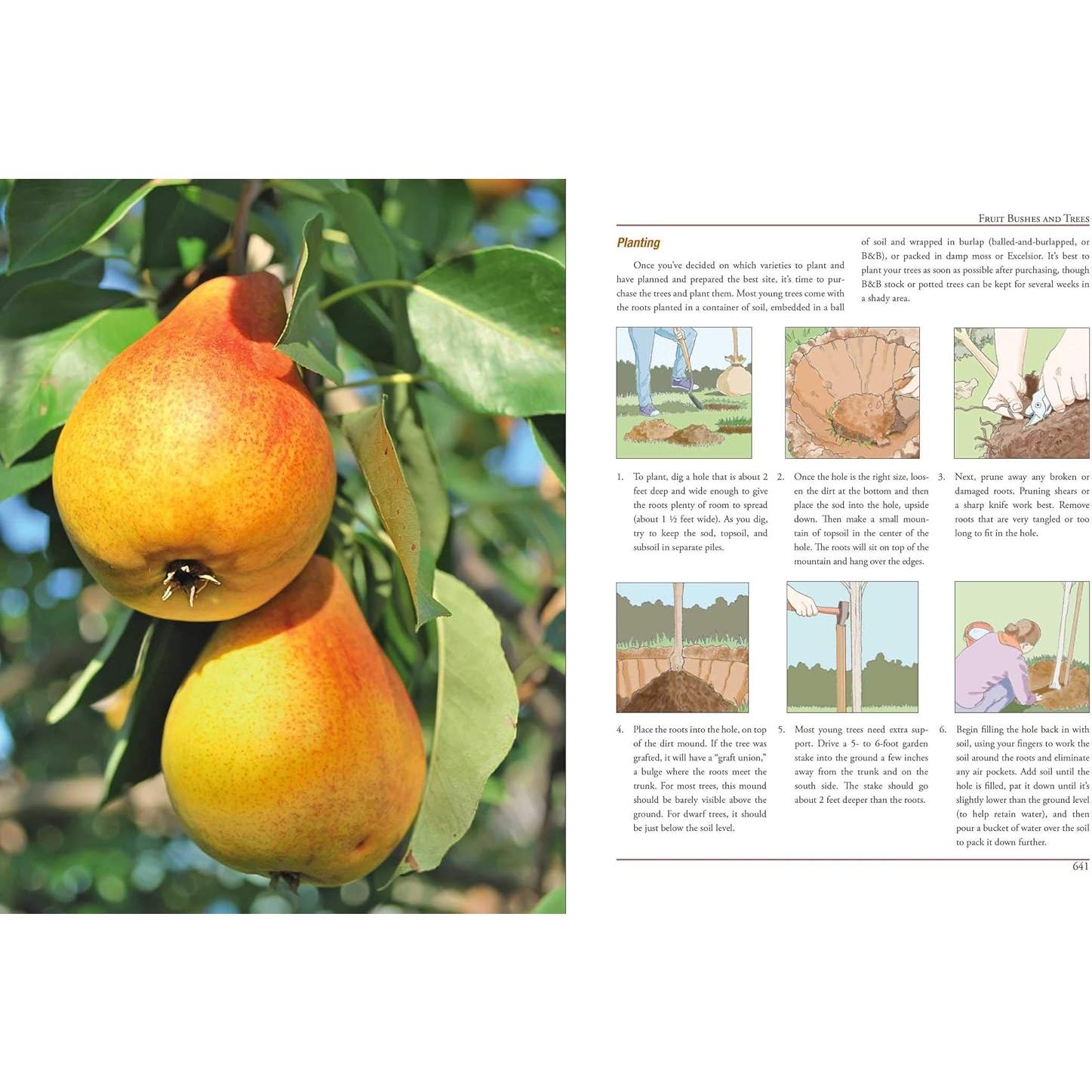 The Illustrated Encyclopedia of Country Living: Beekeeping, Canning and Preserving, Cheese Making, Disaster Preparedness, Fermenting, Growing ... Raising Livestock, Soap Making, and more!