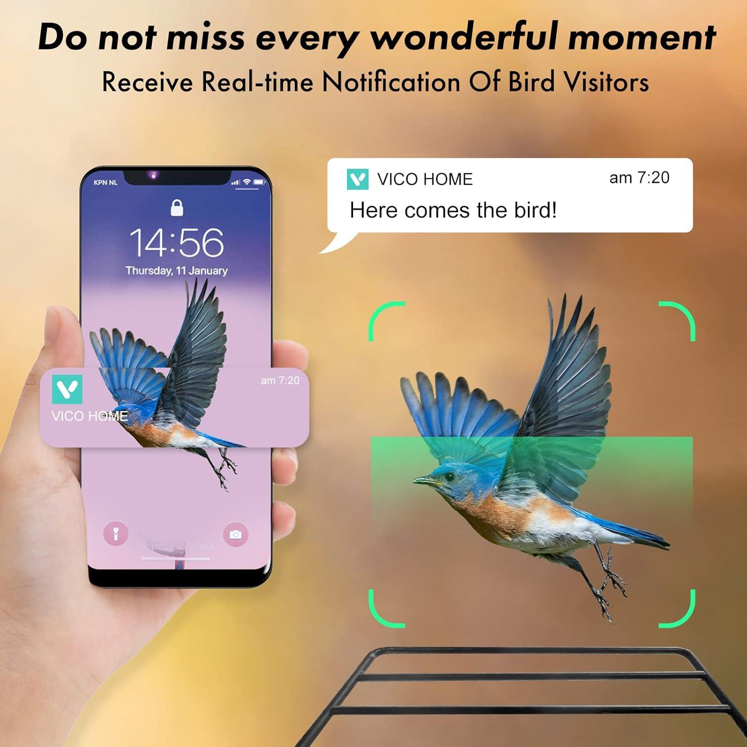 Comedero para Aves BEUTFQL con Cámara 2K HD y WiFi