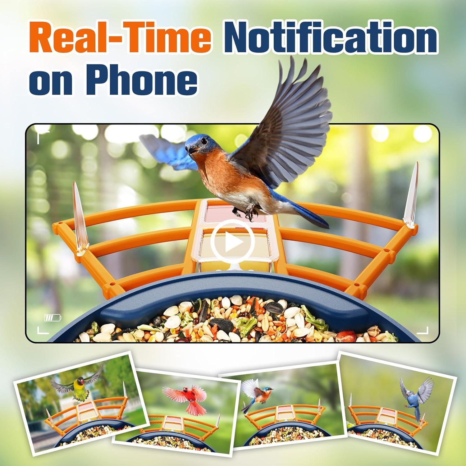 Comedero Inteligente PeckCam con Cámara 2K y Panel Solar