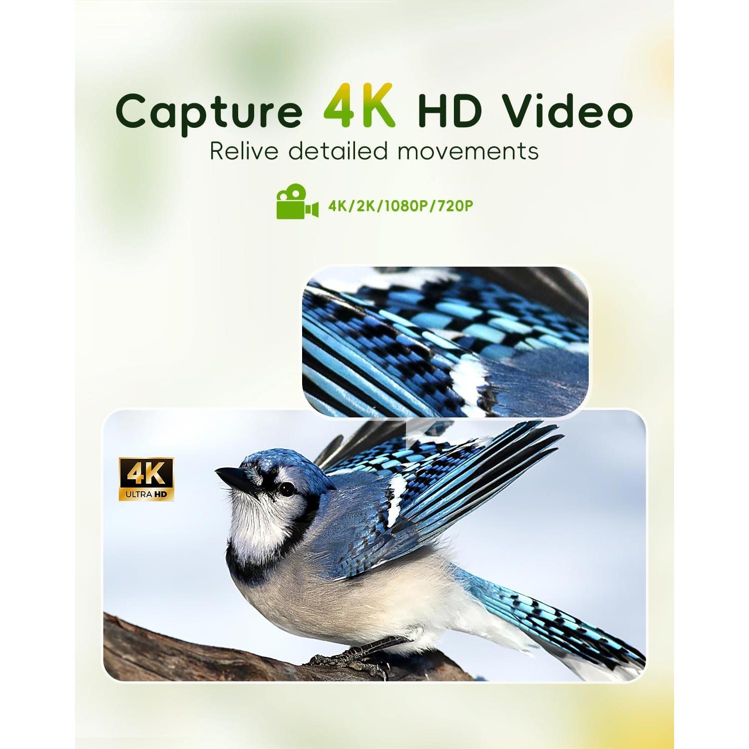 Alimentador de Aves Camojojo Hibird 4K HD con Cámara AI