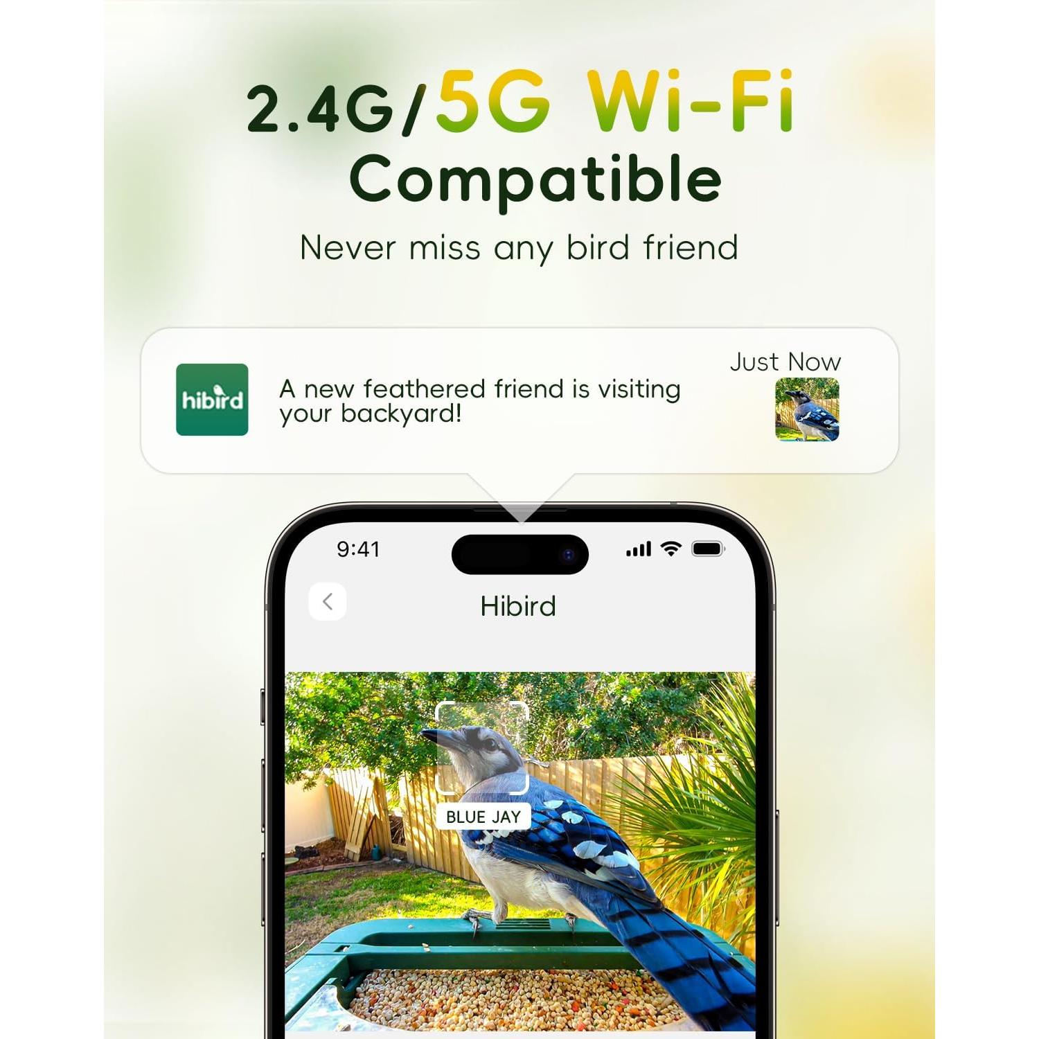 Alimentador de Aves Camojojo Hibird 4K HD con Cámara AI