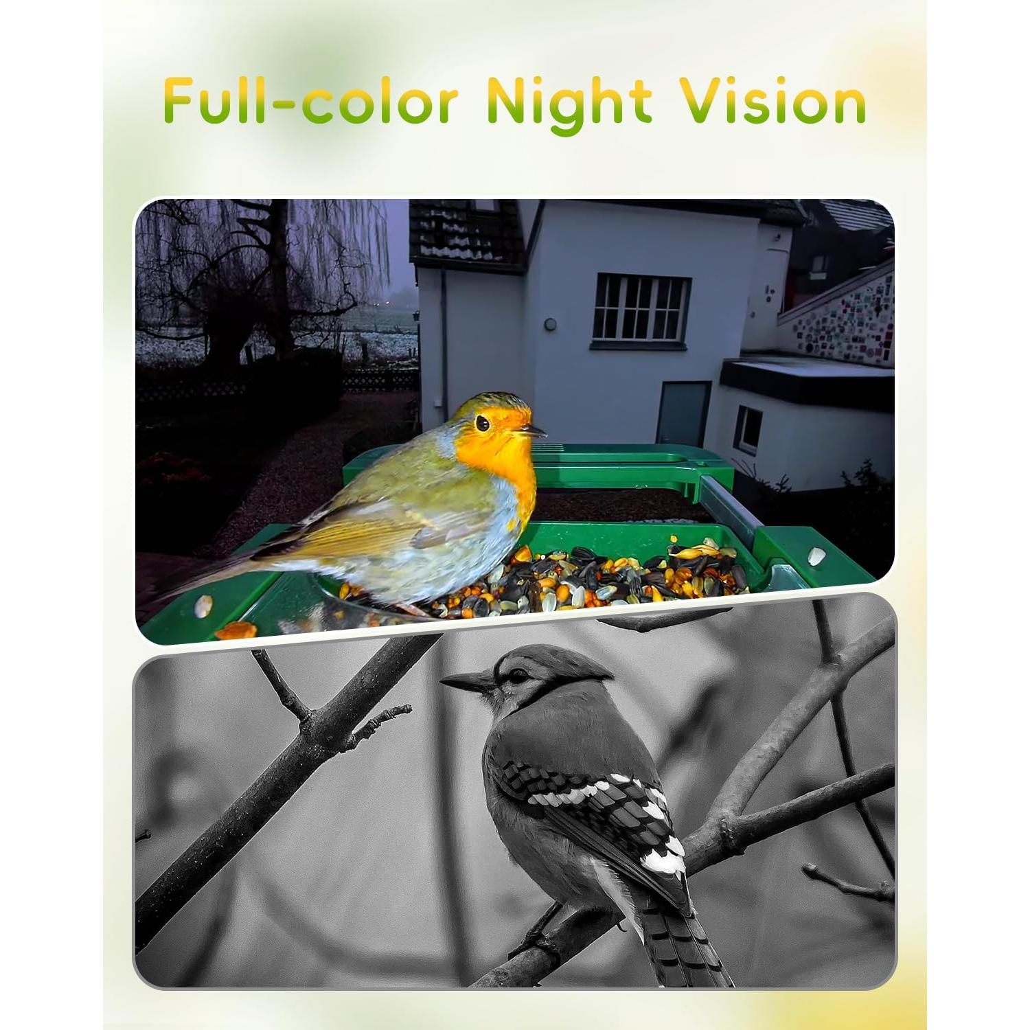 Alimentador de Aves Camojojo Hibird 4K HD con Cámara AI
