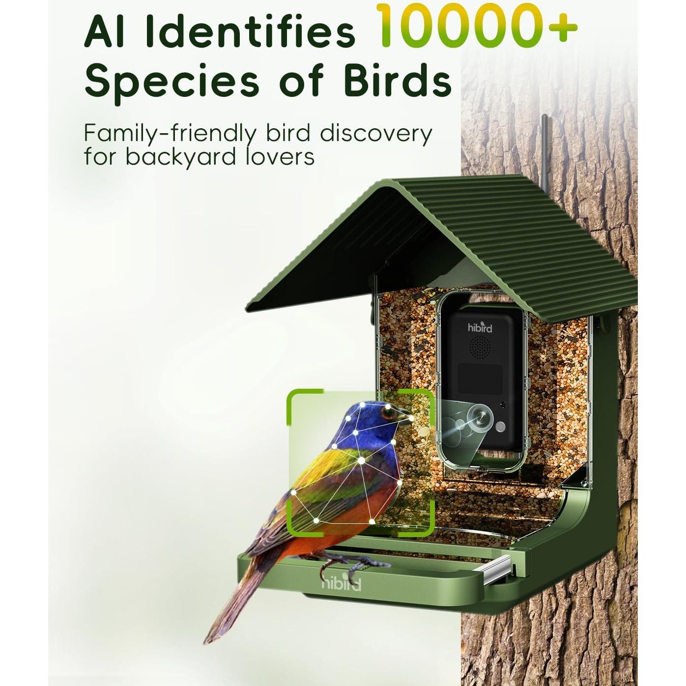 Alimentador de Aves Camojojo Hibird 4K HD con Cámara AI