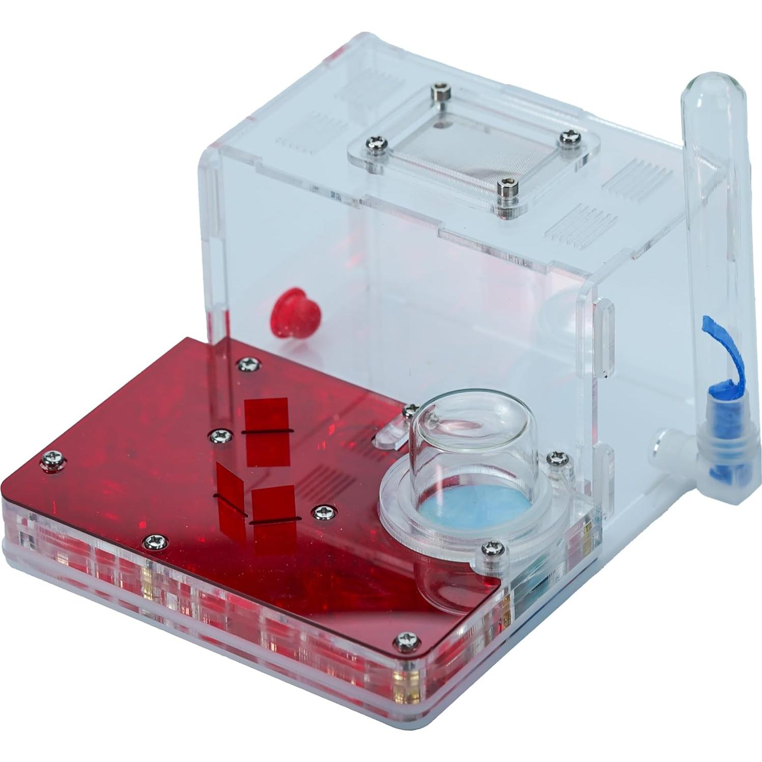 Granja de Hormigas Rimsunta 15 cm Juguete Educativo