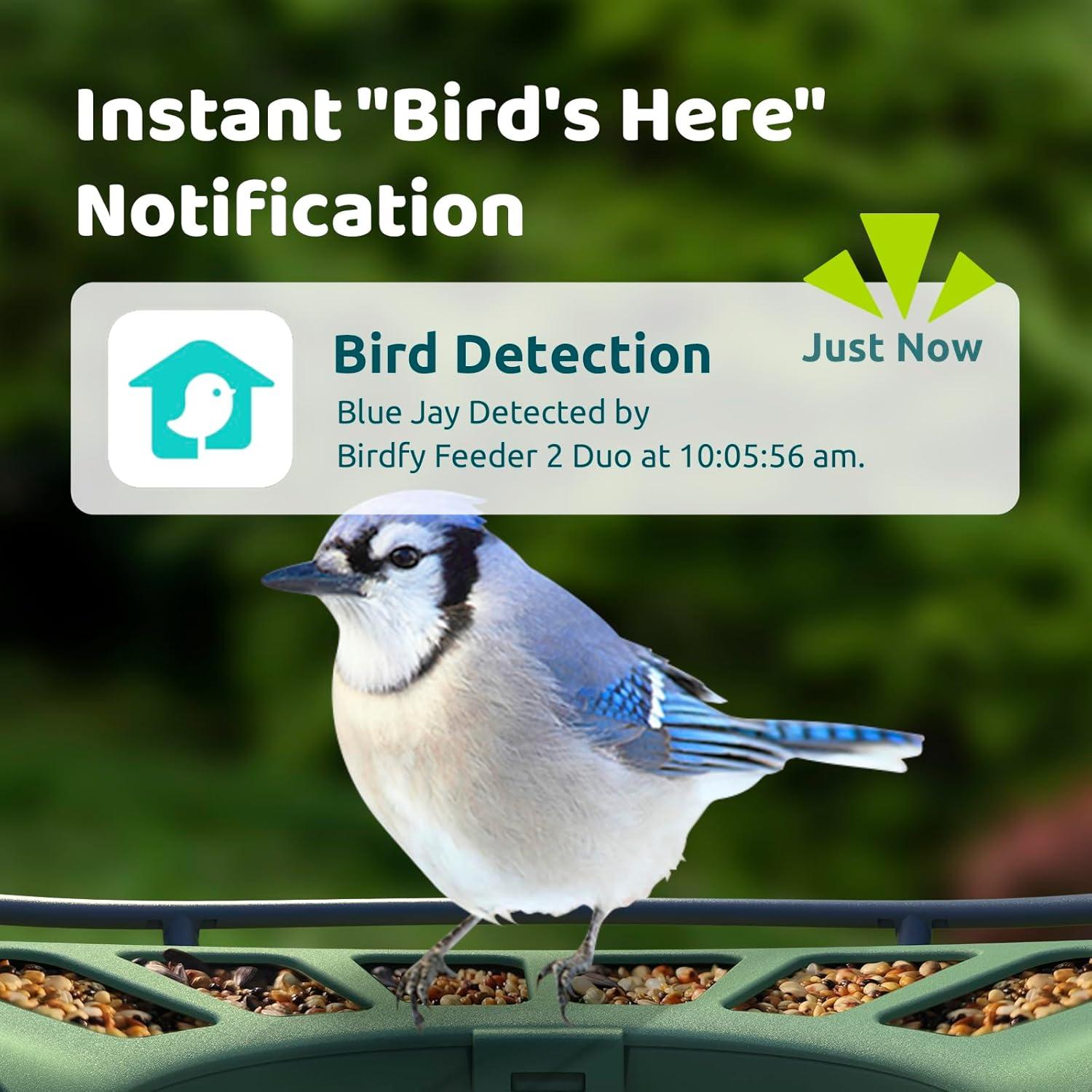 Comedero Inteligente Birdfy 2 con 3 Lentes y AI para Aves