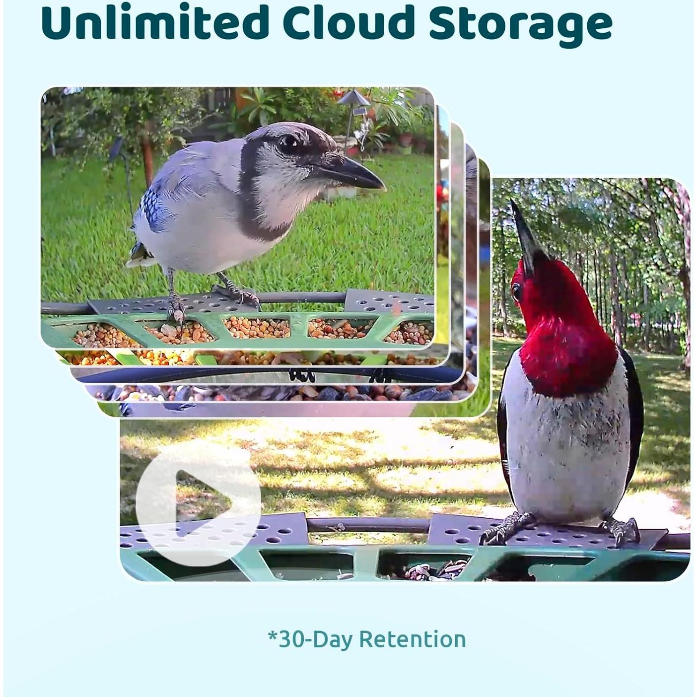 Comedero Inteligente Birdfy 2 con 3 Lentes y AI para Aves